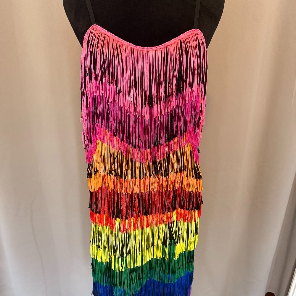 Amazing Pride Rainbow Fringe Dress Women's Large